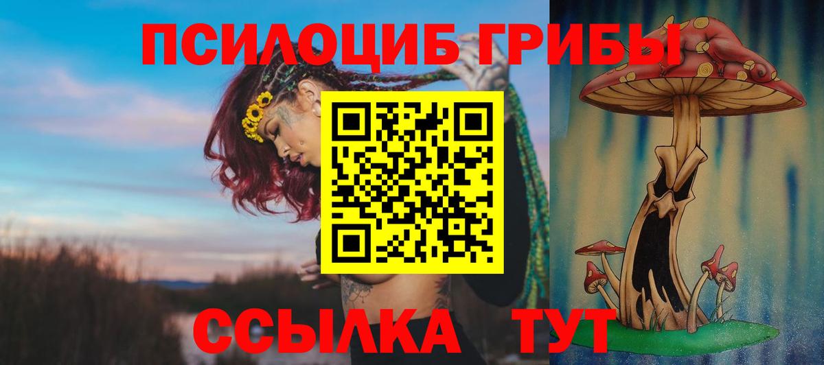 Галлюциногенные грибы MAGIC MUSHROOMS Каменка