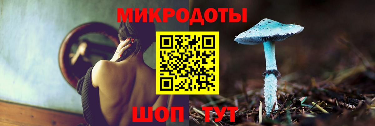Галлюциногенные грибы Psilocybe  Вход с VPN  Каменка 